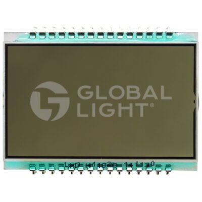 Wayne Vista versión estadounidense, pantalla LCD PPG de 4 dígitos y 30 pines